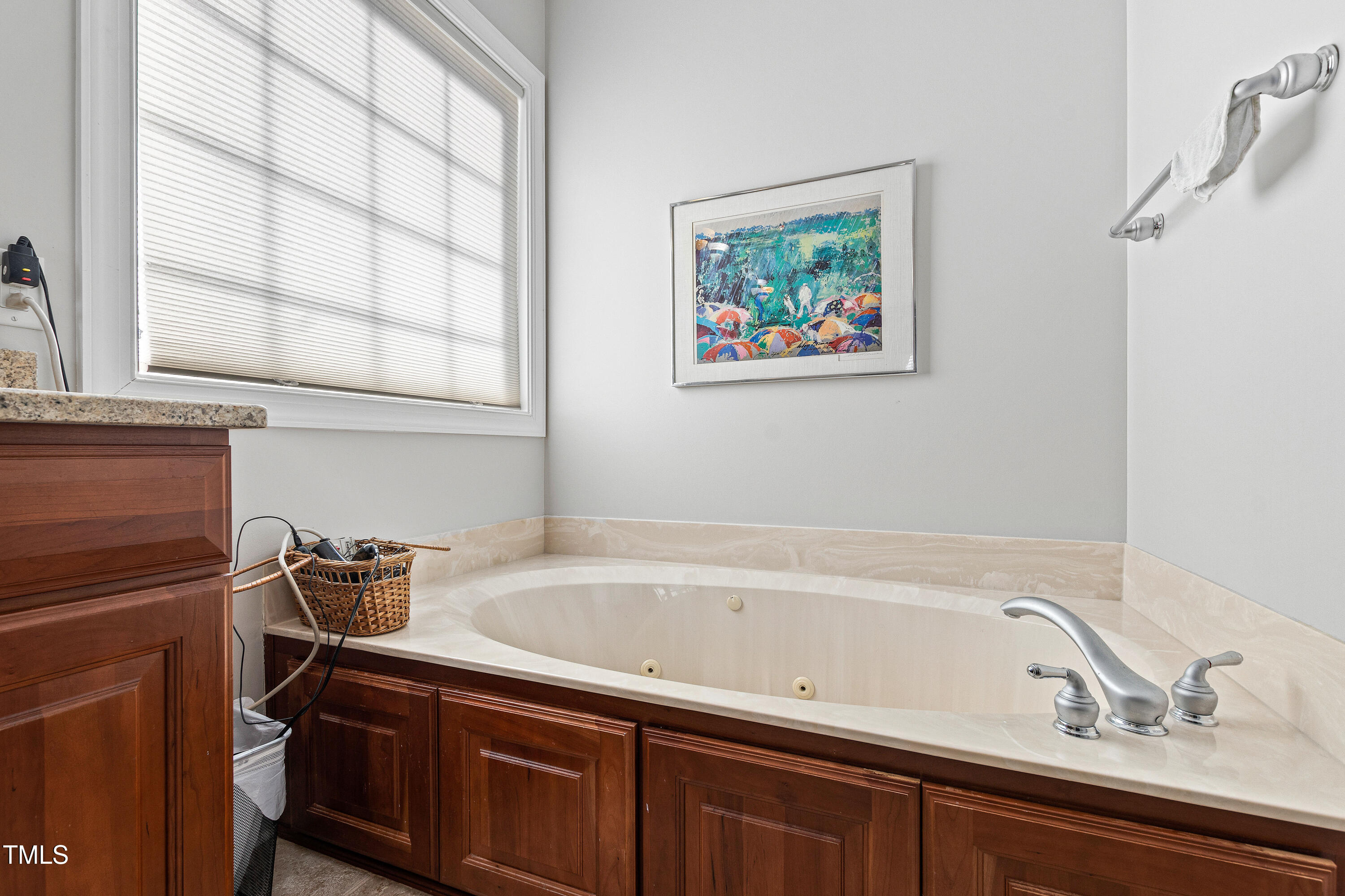 10700 Chesson Drive Raleigh, NC 27614 - Photo 24 of 53 Chesson (42)