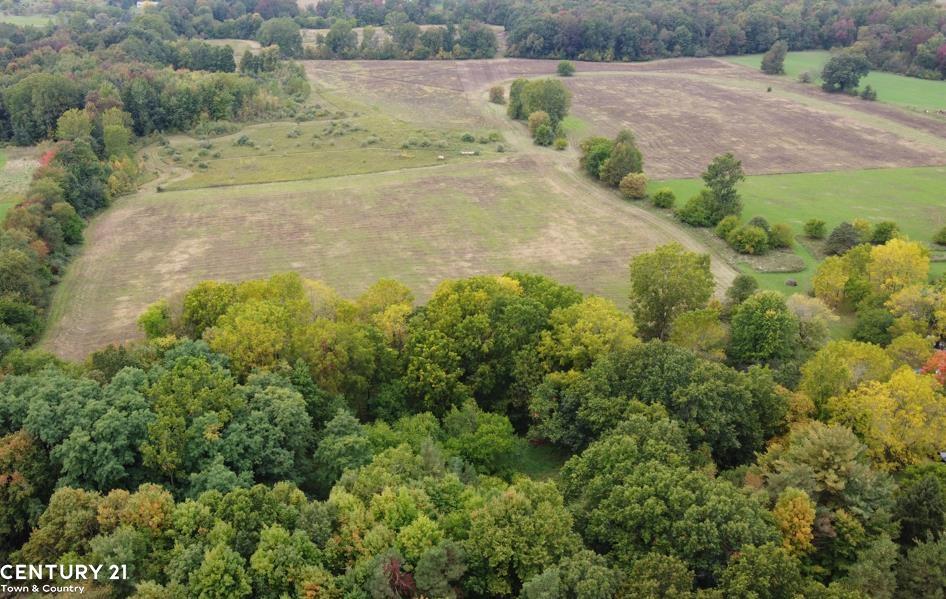 0 South Gale Road Morrice, MI 48857 - Photo 4 of 12