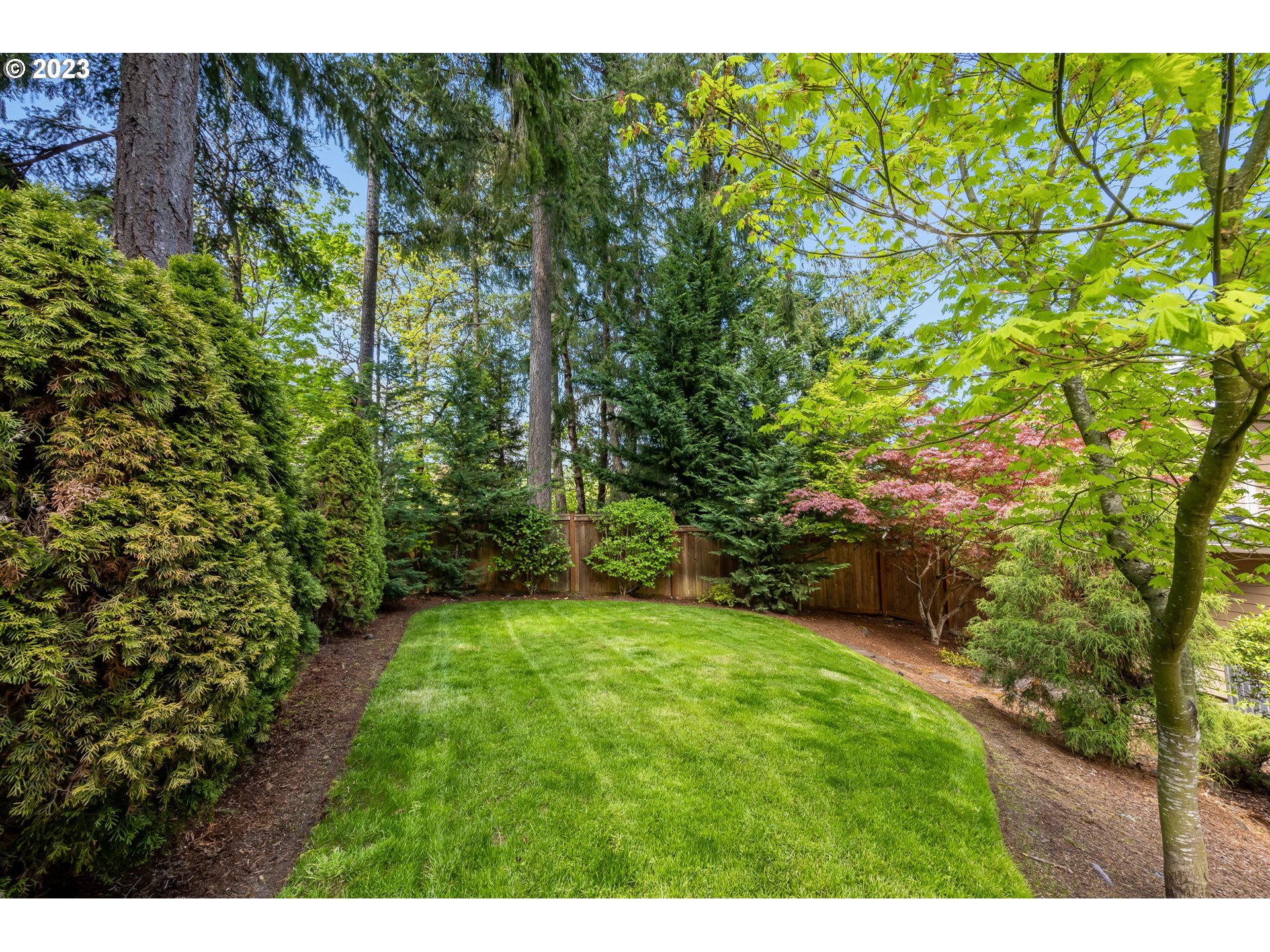 6143 Forest Ridge Drive Springfield, OR 97478 - Photo 46 of 48 a view of a yard with a tree