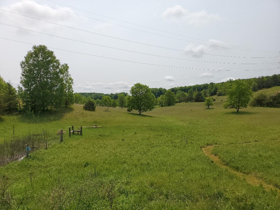 11377 West 16 Road Mesick, MI 49668 - Photo 11 of 13