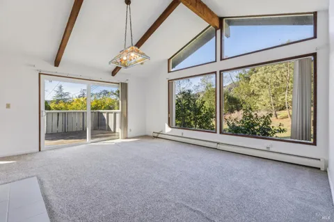 a view of a backyard with plants and large trees