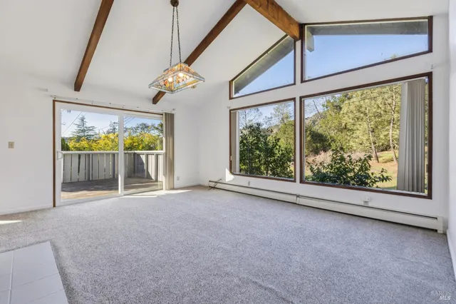 a view of a backyard with plants and large trees
