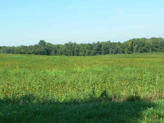 5384 Tompkins Road Onondaga, MI 49264 - Photo 5 of 7 Photo 5