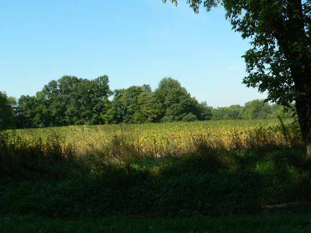 5384 Tompkins Road Onondaga, MI 49264 - Photo 6 of 7 Photo 6