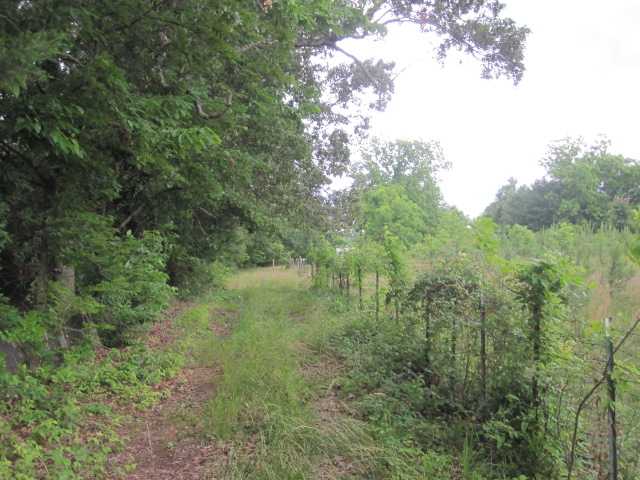 21 Hadorn Road Batesville, MS 38606 - Photo 1 of 19 Gallery Image 1