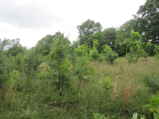 21 Hadorn Road Batesville, MS 38606 - Photo 2 of 19 Gallery Image 2
