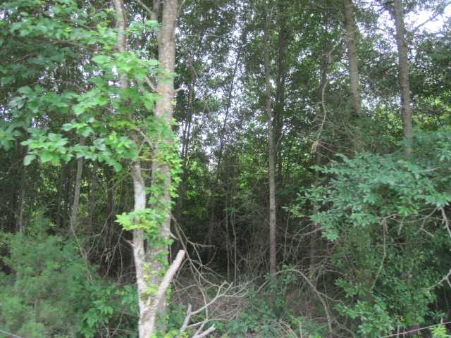 21 Hadorn Road Batesville, MS 38606 - Photo 15 of 19 Gallery Image 15