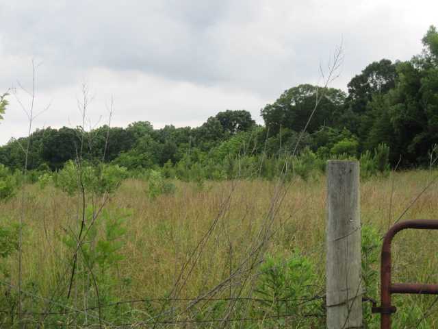 21 Hadorn Road Batesville, MS 38606 - Photo 18 of 19 Gallery Image 18