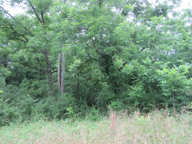21 Hadorn Road Batesville, MS 38606 - Photo 8 of 19 Gallery Image 8