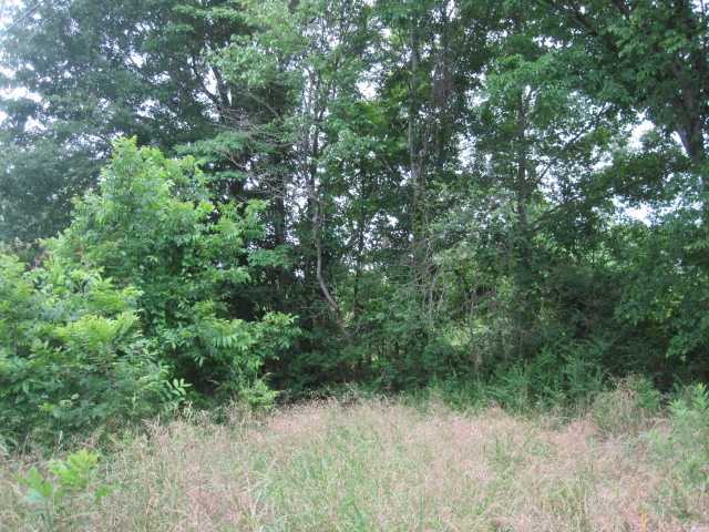 21 Hadorn Road Batesville, MS 38606 - Photo 9 of 19 Gallery Image 9