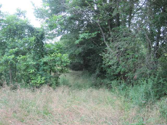 21 Hadorn Road Batesville, MS 38606 - Photo 10 of 19 Gallery Image 10