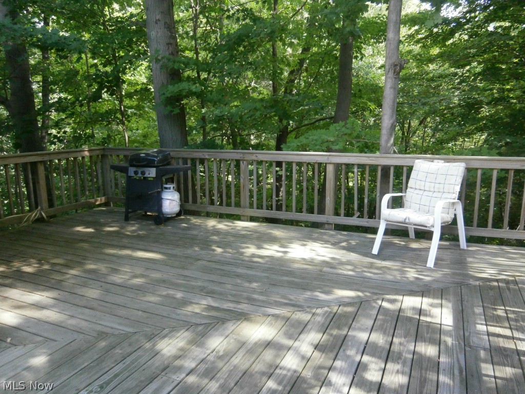 10035 Cutts Road Chardon, OH 44024 - Photo 6 of 25