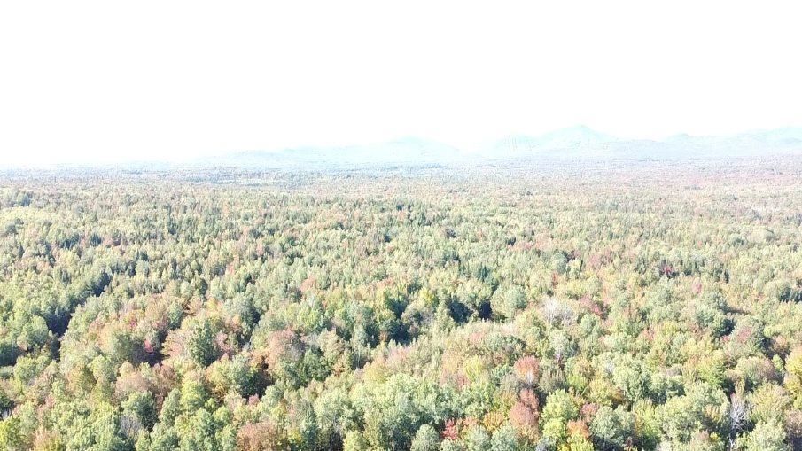 0 North Jay Road North Troy, VT 05859 - Photo 6 of 11