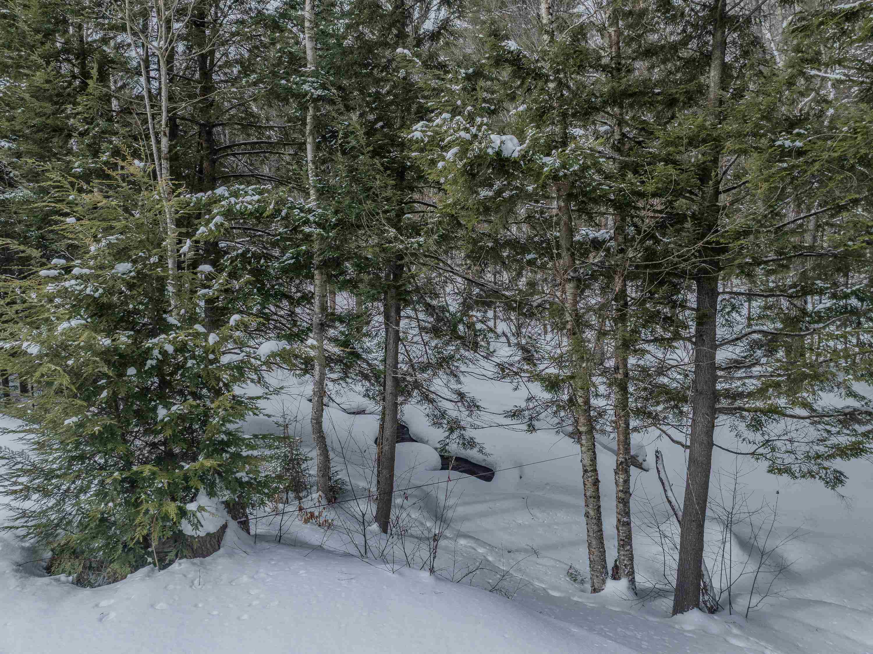 46 Goodbout Road Lincoln, NH 03251 - Photo 24 of 32