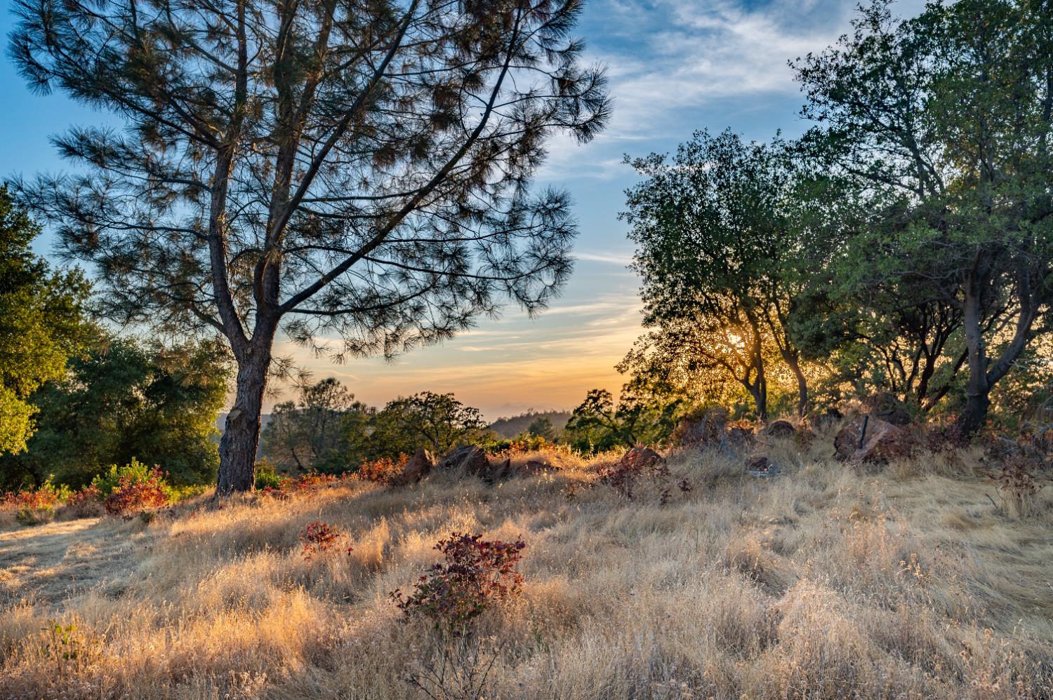 21088 Dalzell Road Smartsville, CA 95977 - Photo 12 of 36 a view of mountain view with lots of trees