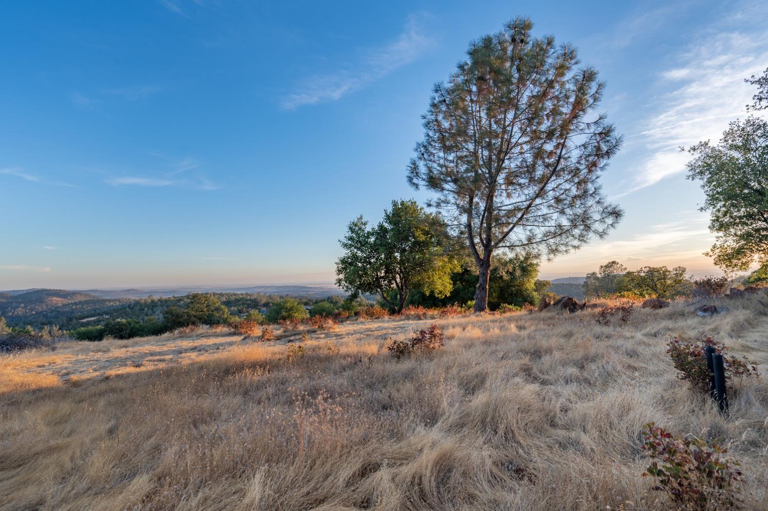 21088 Dalzell Road Smartsville, CA 95977 - Photo 16 of 36 a view of a dirt yard with a large tree