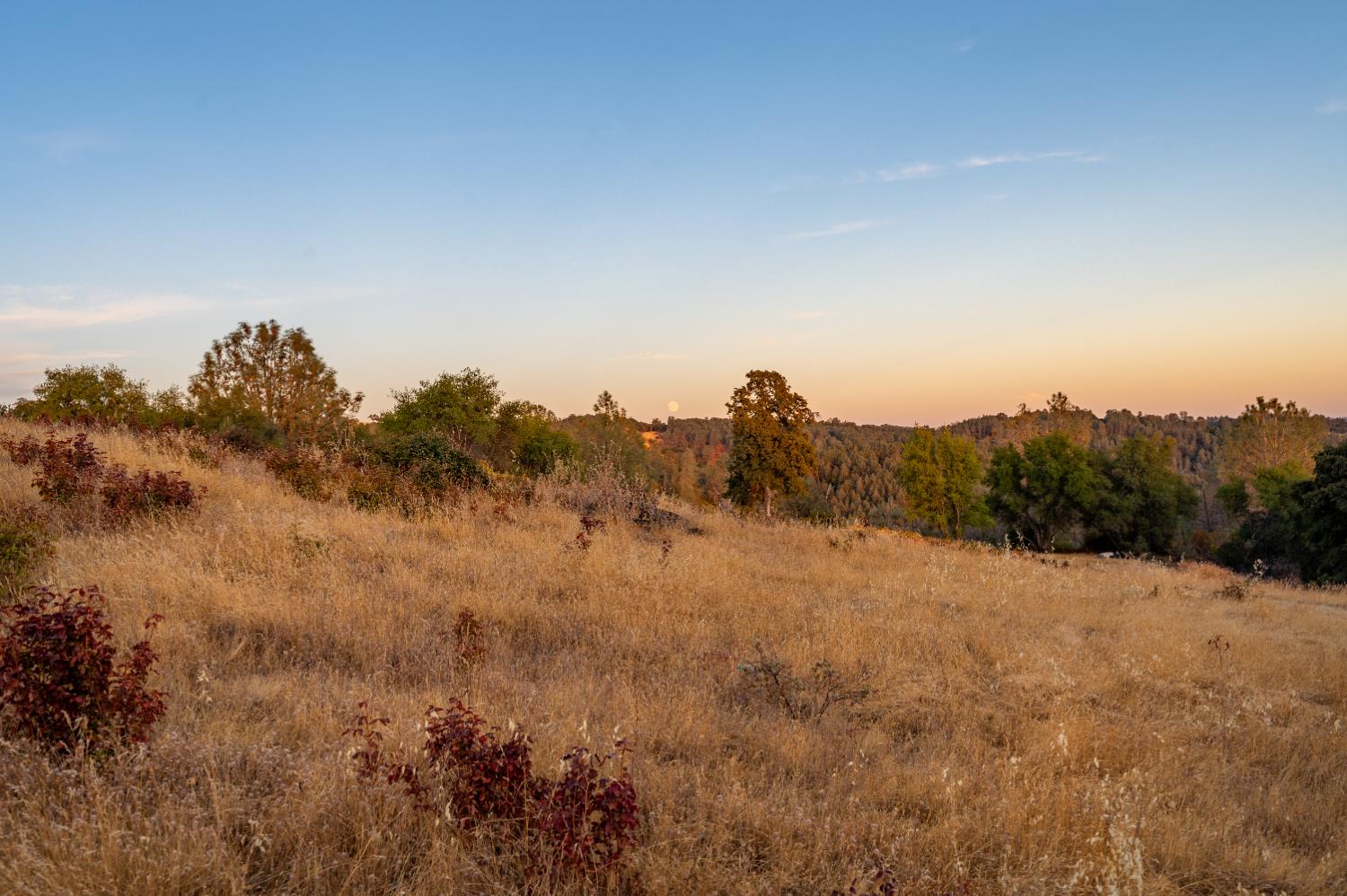 21088 Dalzell Road Smartsville, CA 95977 - Photo 23 of 36 a view of a city