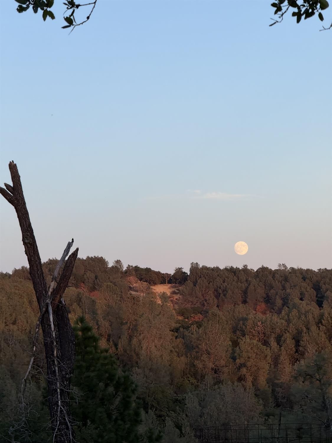 21088 Dalzell Road Smartsville, CA 95977 - Photo 6 of 36 a view of a sky