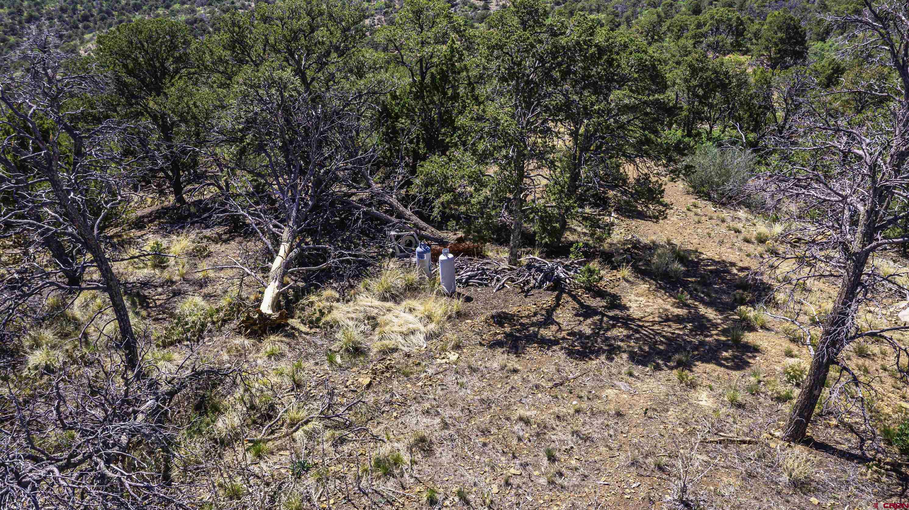 Tbd Tbd Fishers Peak Ranch Trinidad, CO 81082 - Photo 6 of 31