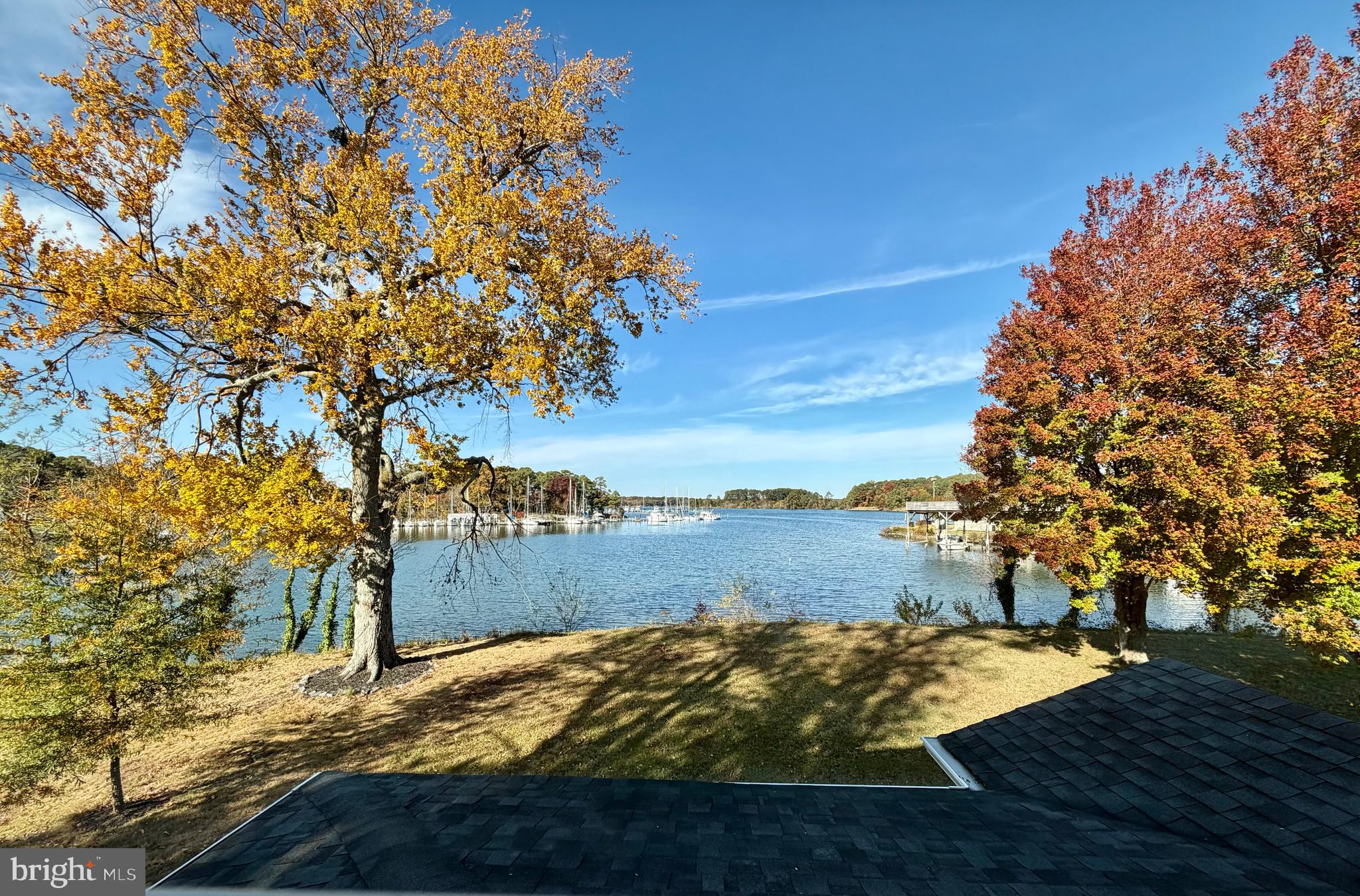 48600 Deep Cove Lane Ridge, MD 20680 - Photo 14 of 46 a view of yard