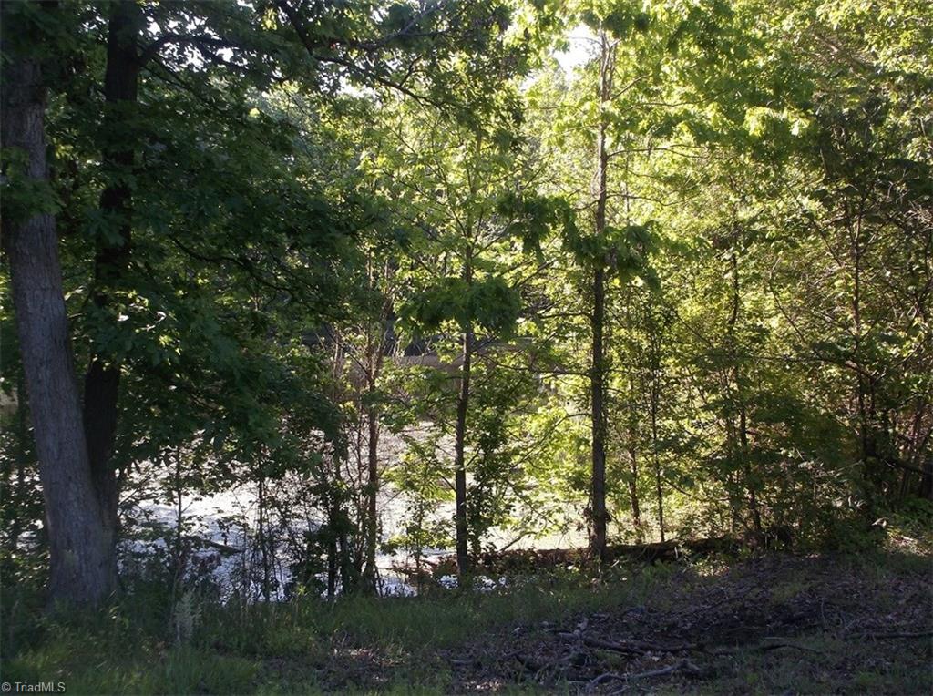 1063 County Home Road Reidsville, NC 27320 - Photo 19 of 22 Gallery Image 19