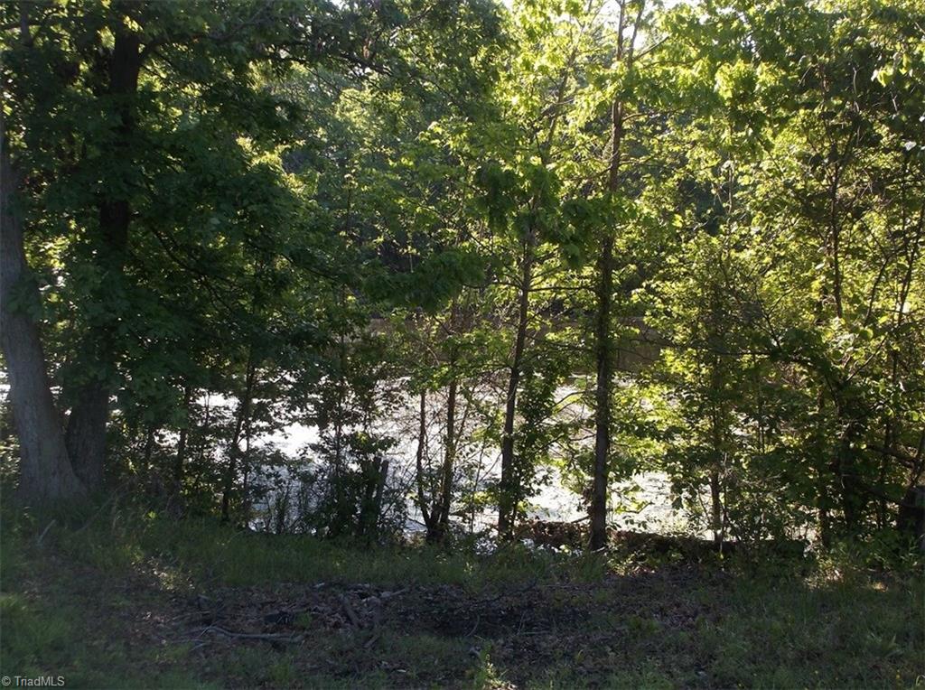 1063 County Home Road Reidsville, NC 27320 - Photo 20 of 22 Gallery Image 20