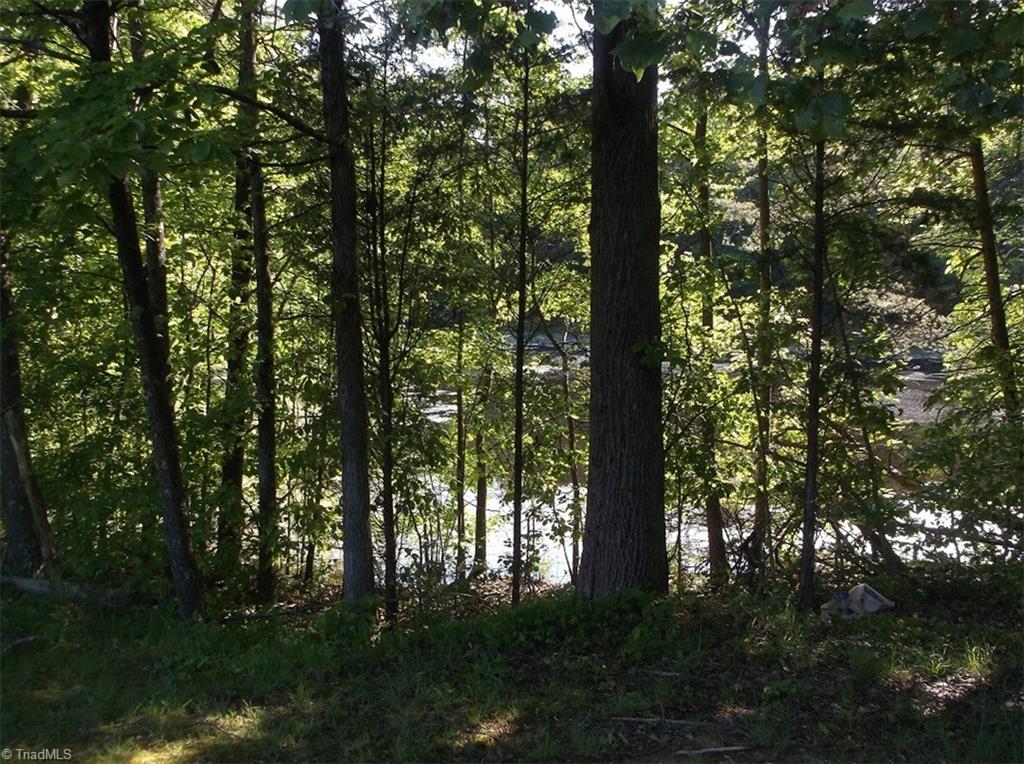 1063 County Home Road Reidsville, NC 27320 - Photo 21 of 22 Gallery Image 21