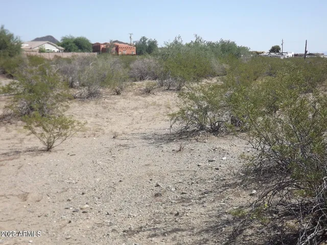 a view of a dry yard with trees in the background