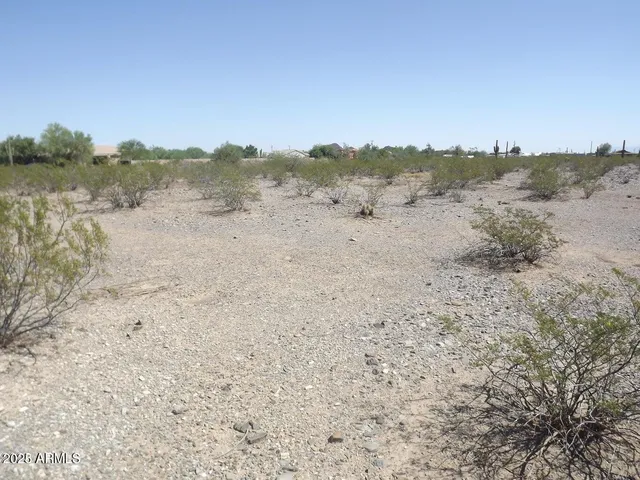 a view of beach and covered with fog