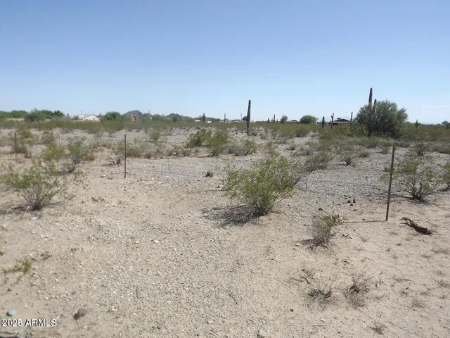 a view of a dry field with trees in the background