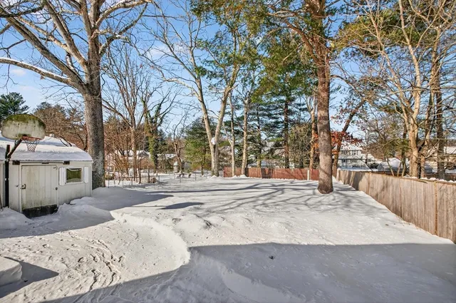 a view of road with trees