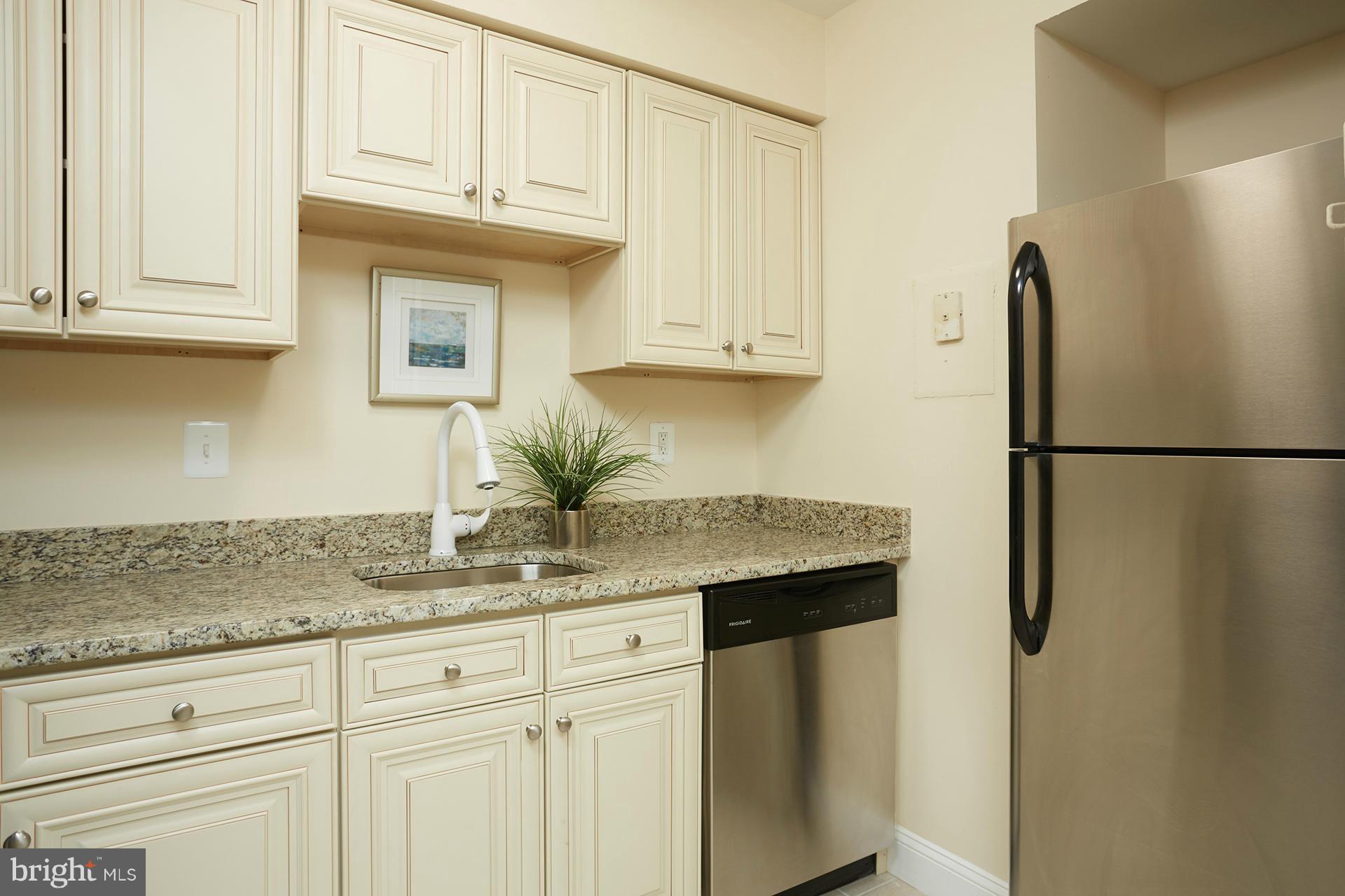 2105 Walsh View Terrace, Unit 15301 Silver Spring, MD 20902 - Photo 3 of 18 Kitchen