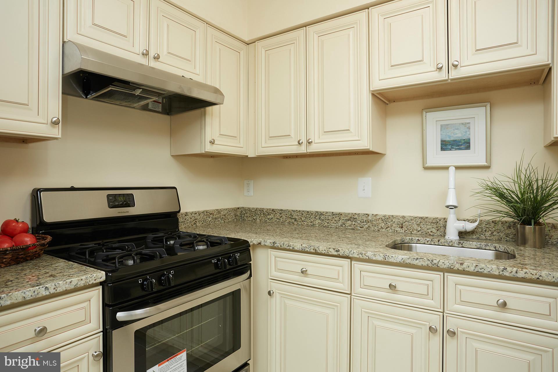 2105 Walsh View Terrace, Unit 15301 Silver Spring, MD 20902 - Photo 4 of 18 Kitchen