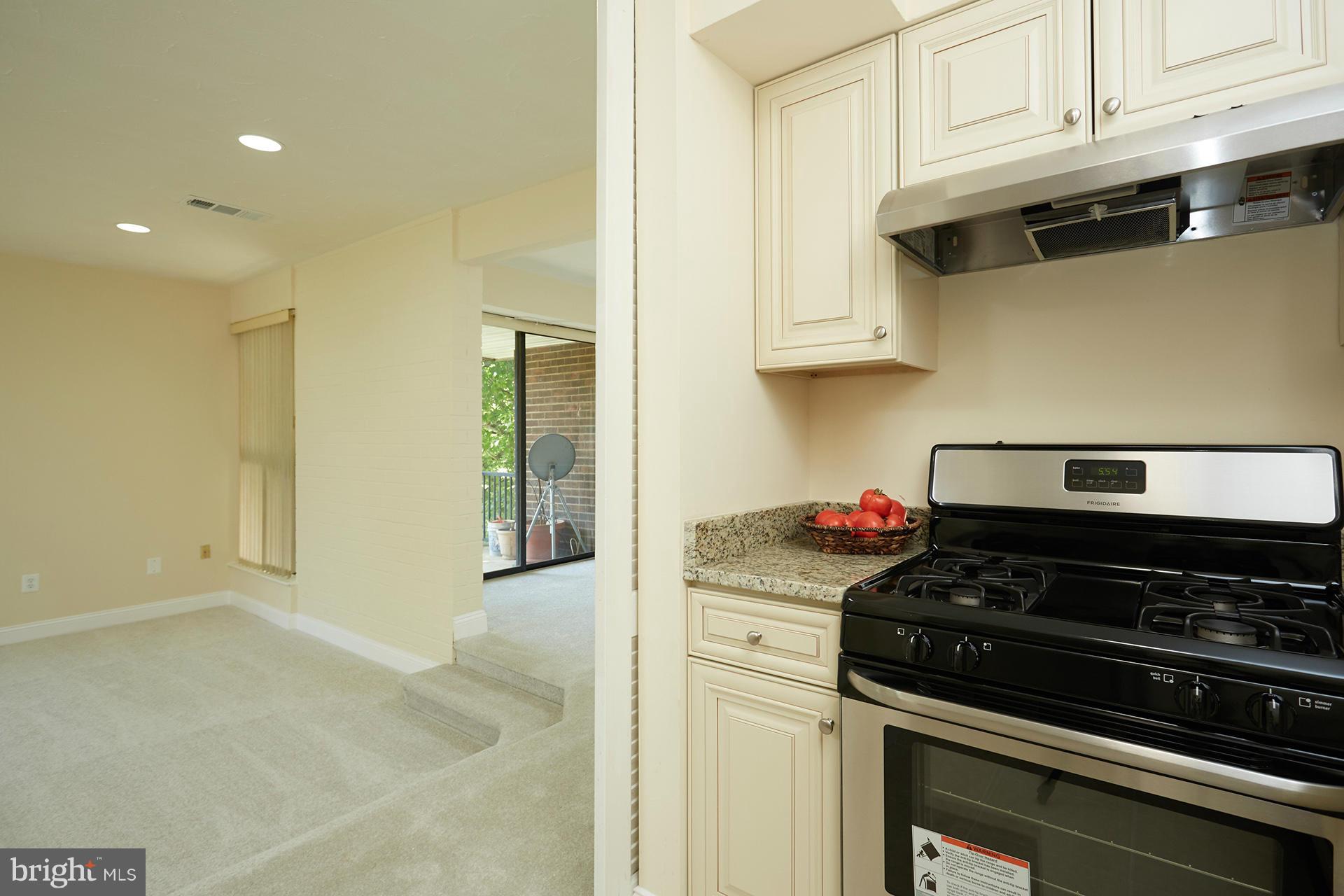 2105 Walsh View Terrace, Unit 15301 Silver Spring, MD 20902 - Photo 5 of 18 Kitchen