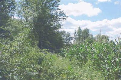 Trent Road, Unit PAR G Ravenna, MI 49451 - Photo 1 of 1 Primary Photo