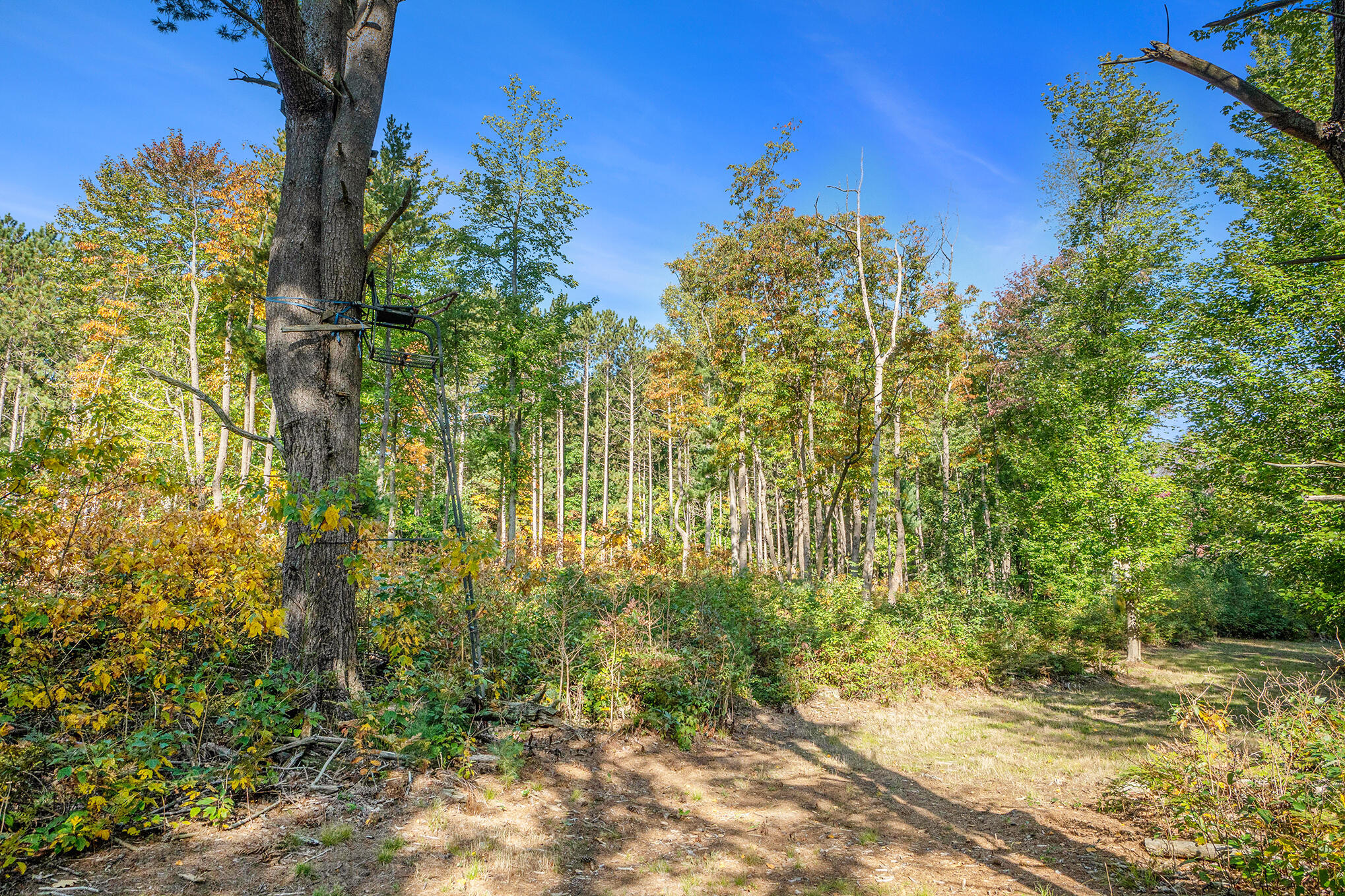 804 Judson Road Norton Shores, MI 49456 - Photo 35 of 52 038_dsc02651