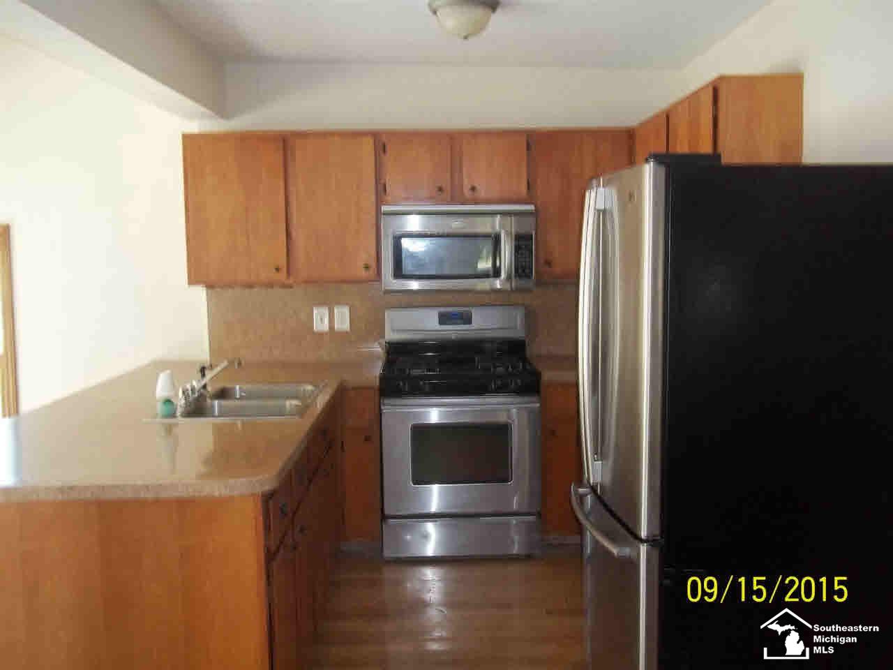 16363 Morocco Road Petersburg, MI 49270 - Photo 5 of 10 20448857-4.JPG
