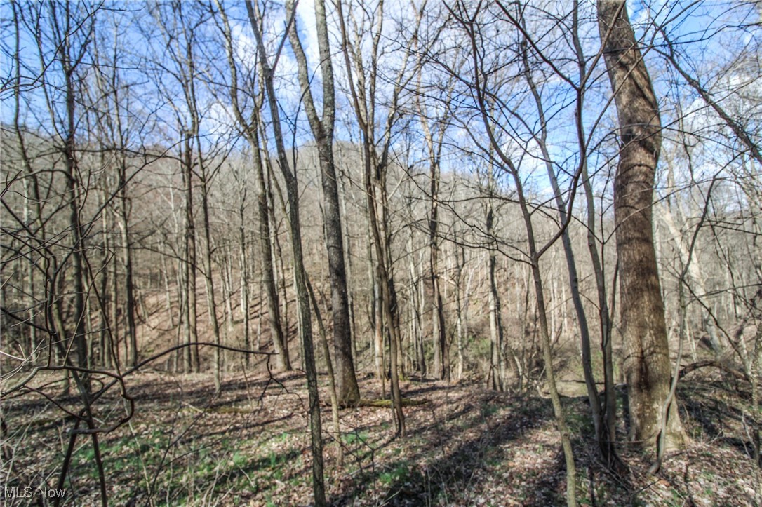 Elk Run Road New Matamoras, OH 45767 - Photo 10 of 27 View of local wilderness