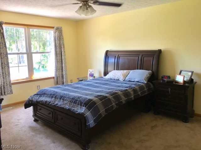 5691 Lockwood Road Madison, OH 44057 - Photo 12 of 26 Gallery Image 12