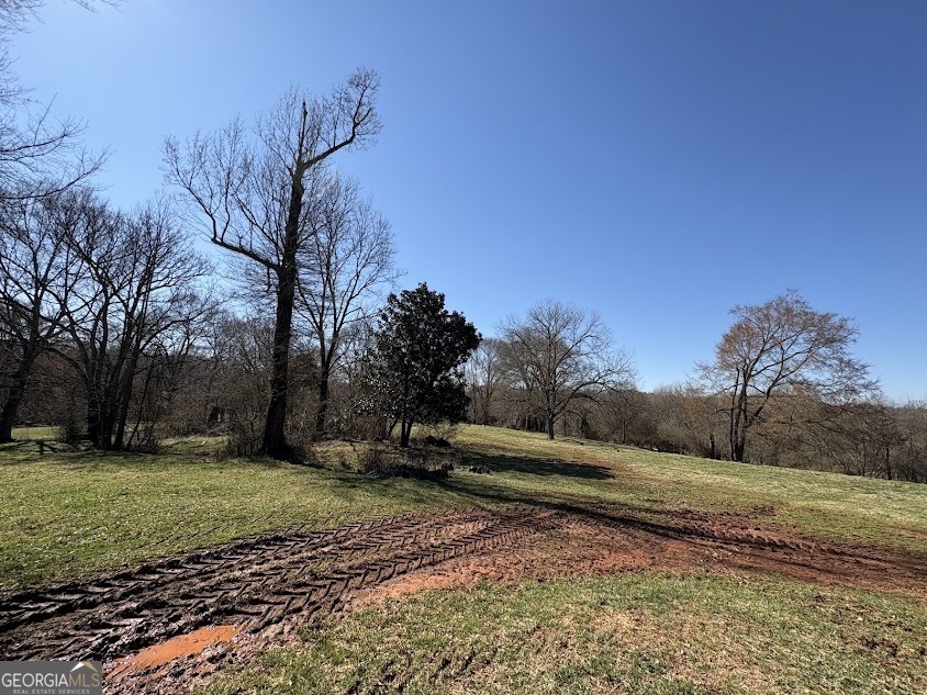 0 Unawatti Road Canon, GA 30520 - Photo 16 of 17