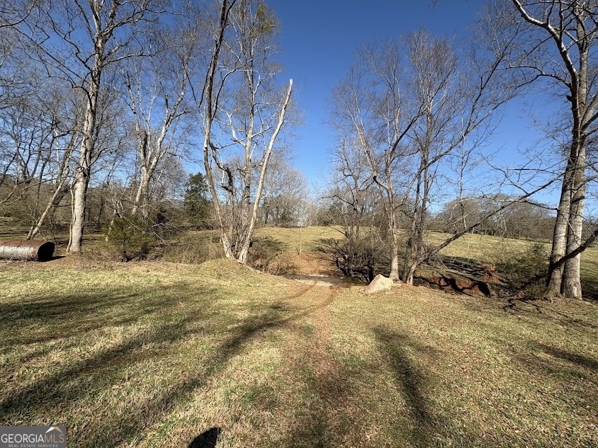 0 Unawatti Road Canon, GA 30520 - Photo 4 of 17