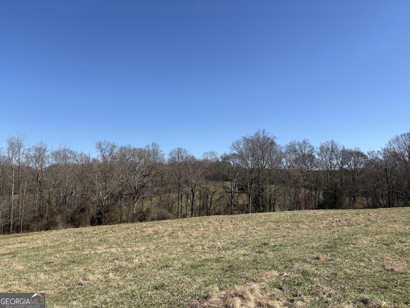 0 Unawatti Road Canon, GA 30520 - Photo 5 of 17