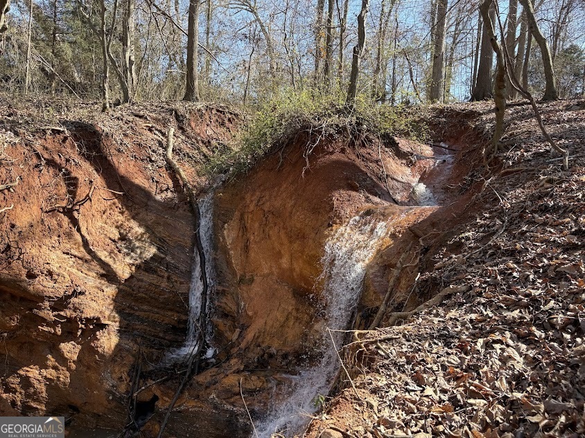 0 Unawatti Road Canon, GA 30520 - Photo 10 of 17