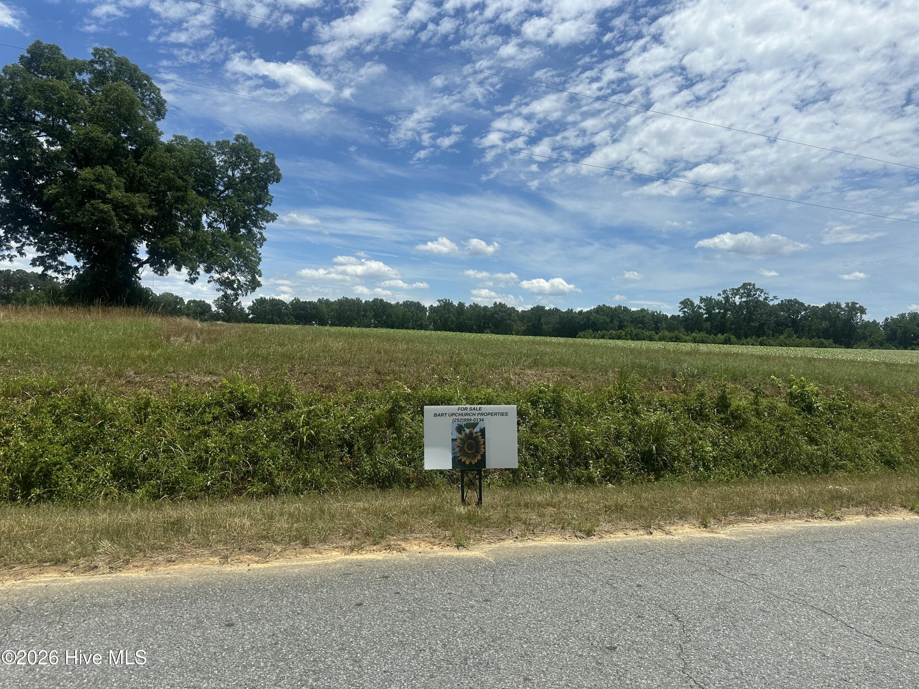 0 Rabbit Hollow Road Snow Hill, NC 28580 - Photo 16 of 16