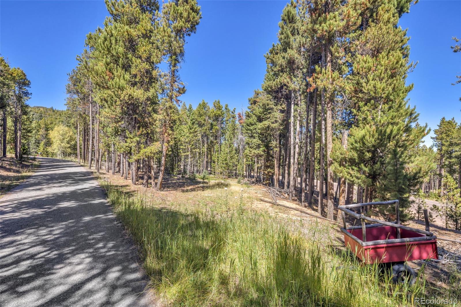 32252 Steven Way Conifer, CO 80433 - Photo 35 of 47 a view of yard with trees