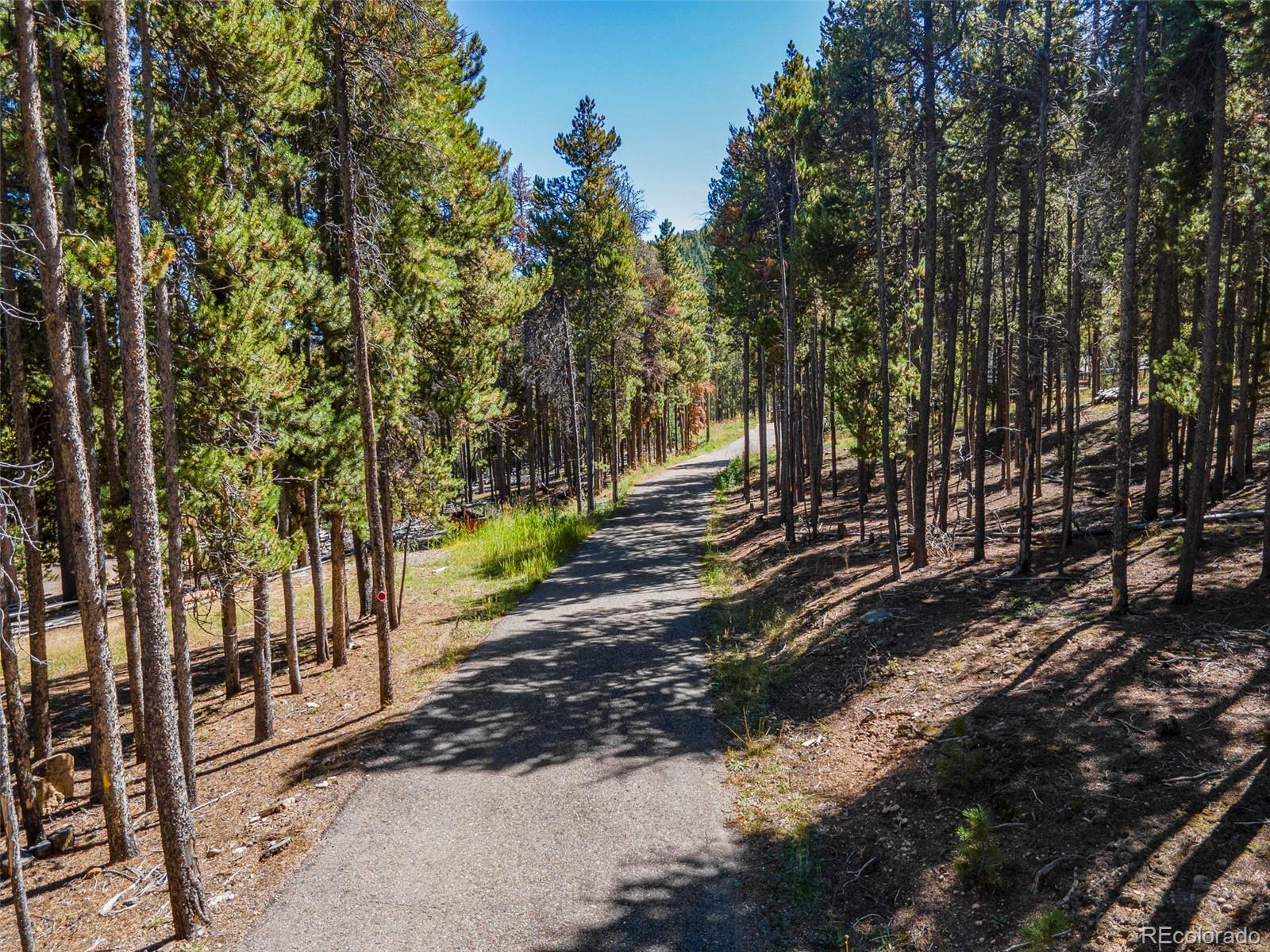 32252 Steven Way Conifer, CO 80433 - Photo 36 of 47 a view of a yard with plants and trees