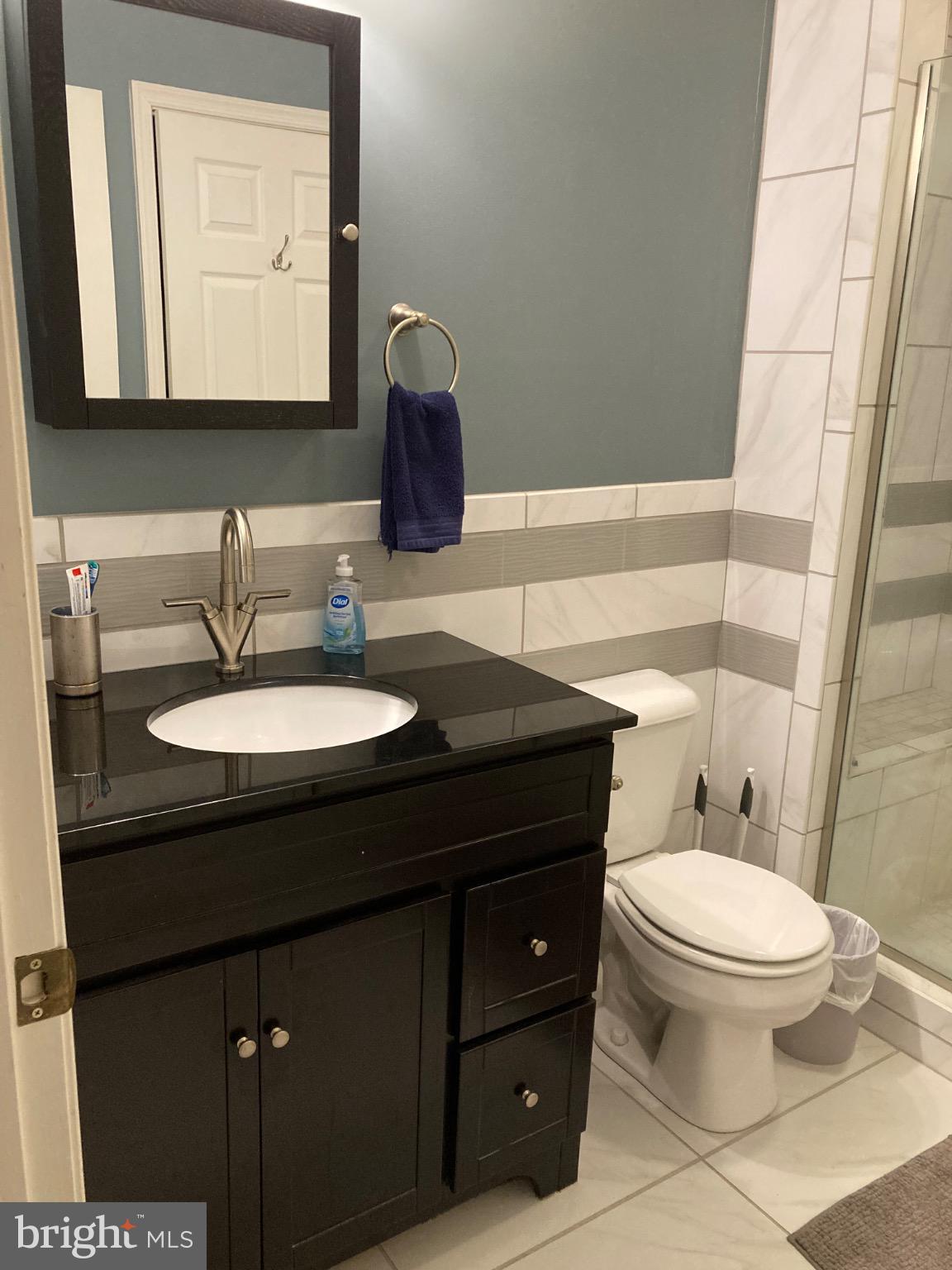 1213 Progress Road Chambersburg, PA 17201 - Photo 12 of 17 Main bathroom with modern updates.