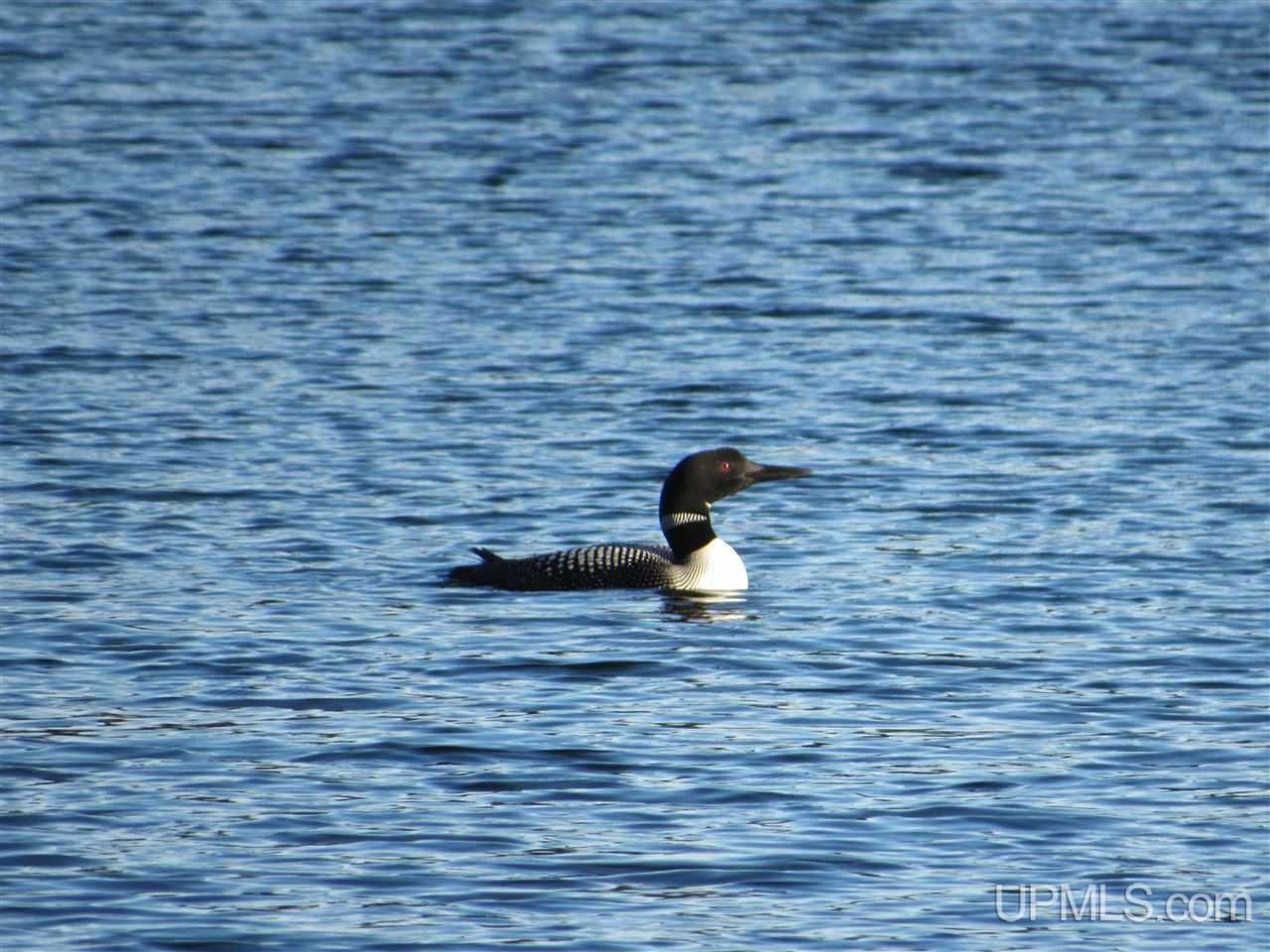 E9611 North Town Line Lake Road Wetmore, MI 49895 - Photo 68 of 77