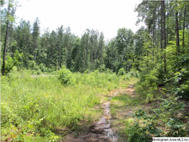 12 County Road, Unit 55 Heflin, AL 36264 - Photo 10 of 10