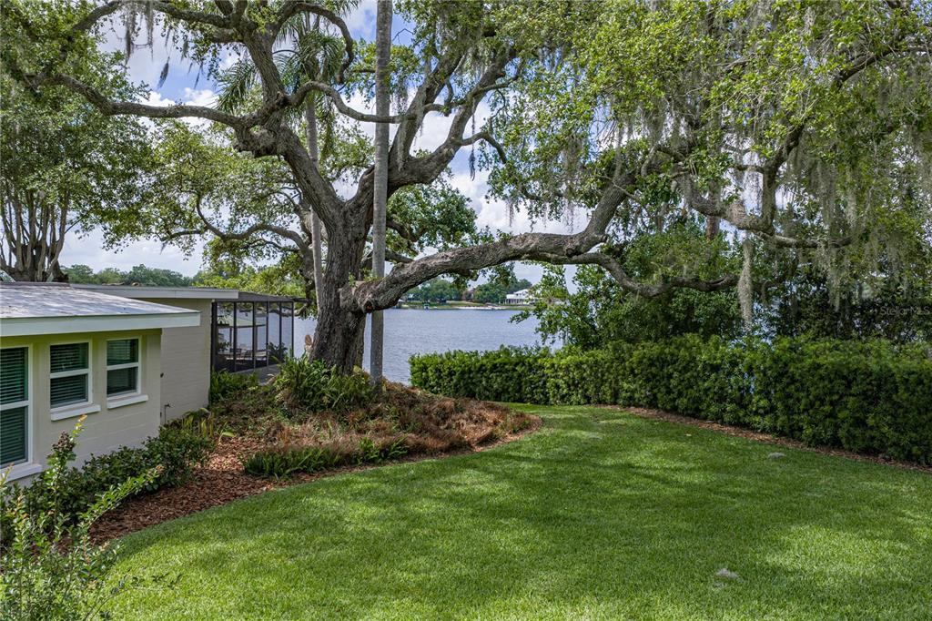 1075 Cody Cove Road Babson Park, FL 33827 - Photo 58 of 96 a view of a backyard with large trees